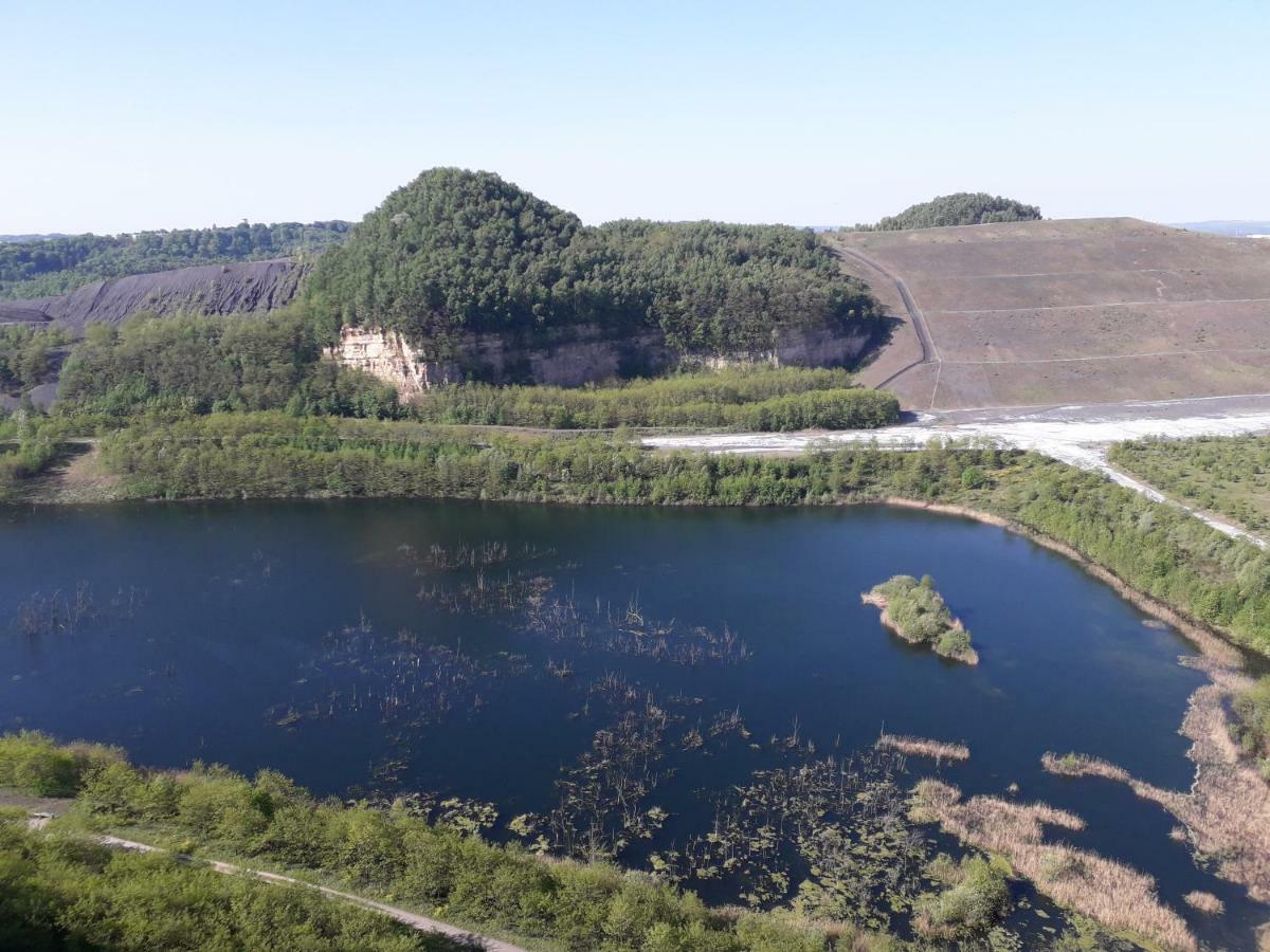 Un Spa Au Canyon Freyming-Merlebach Kültér fotó